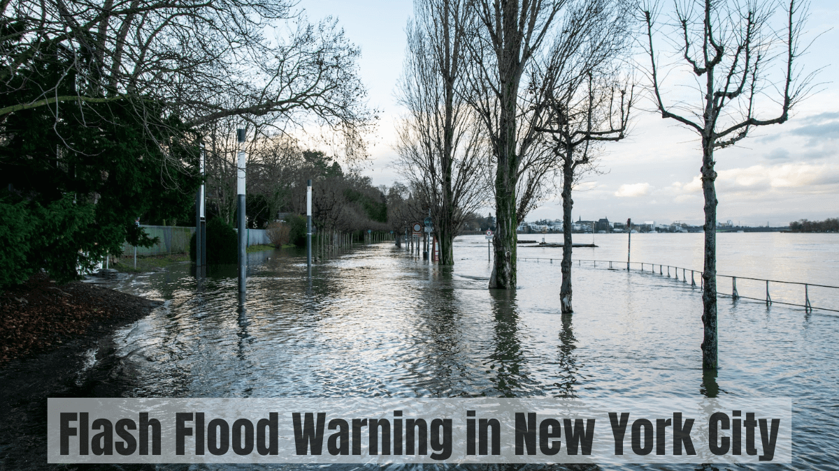 Flash Flood Warning in New York City