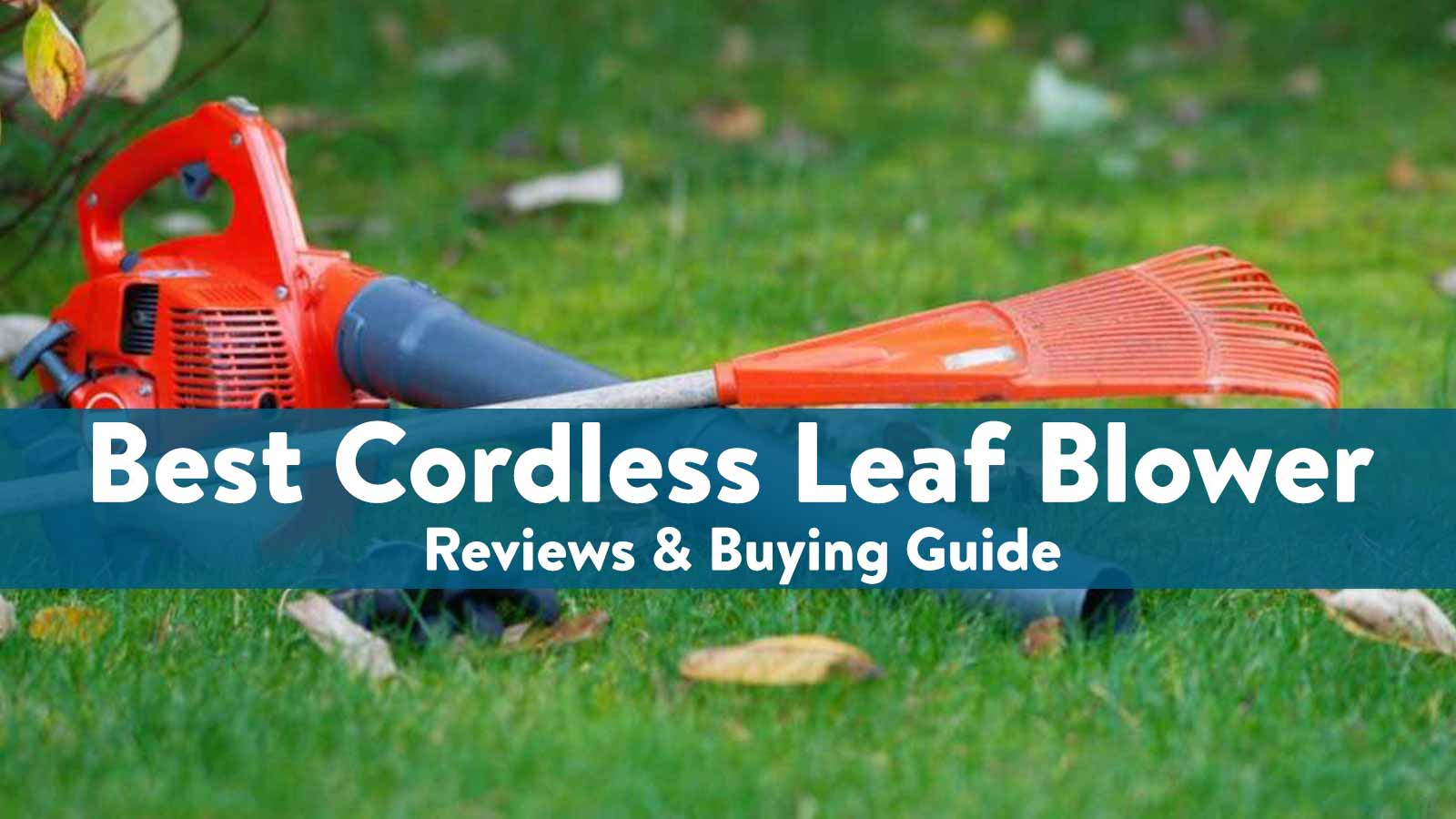 Best Cordless Leaf Blower