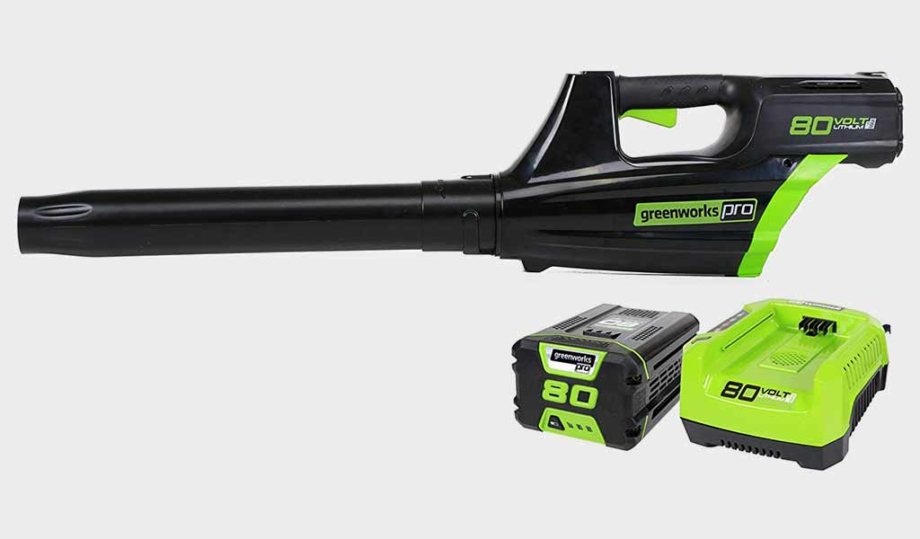 Greenworks Pro cordless