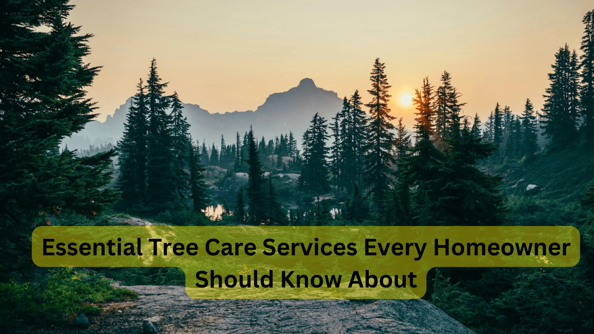 Tree Care Services